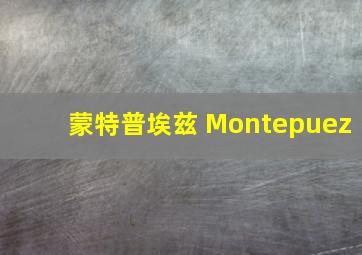 蒙特普埃兹 Montepuez